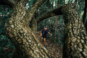 BIB: 
                            <button type="button" onclick="openModal(25392686)" class="btn btn-primary btn-sm float-right btn-popup" data-toggle="modal" data-target=".modal-high-quality">
                        <i class="fas fa-shopping-cart"></i> Add to Cart
                    </button>
                                            <button type="button" onclick="isThisMe(25392686, true)" class="btn btn-success btn-sm float-right btn-popup btn-isme hidden" data-toggle="tooltip" data-placement="bottom" title="นี่คือรูปของคุณใช่ไหม คลิกที่นี่เพื่อเอาเข้าอัลบั้ม">
                        <i class="fas fa-plus"></i> Add to album
                    </button>
                    <button type="button" onclick="isThisMe(25392686, false)" class="btn btn-warning btn-sm float-right btn-popup btn-isnotme hidden">
                        <i class="fas fa-ban"></i> Remove from album
                    </button>